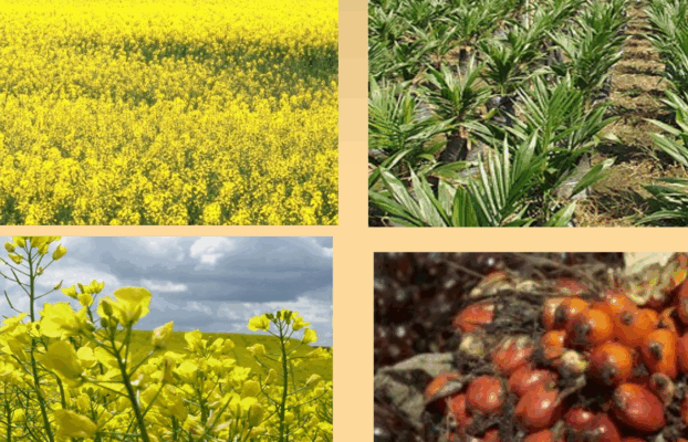 Biocomustibles: investigación de una propuesta de trabajo en el aula