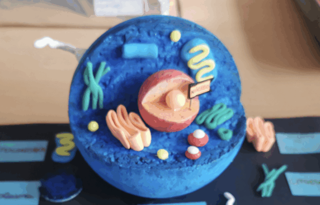 Trabajos sobre la célula