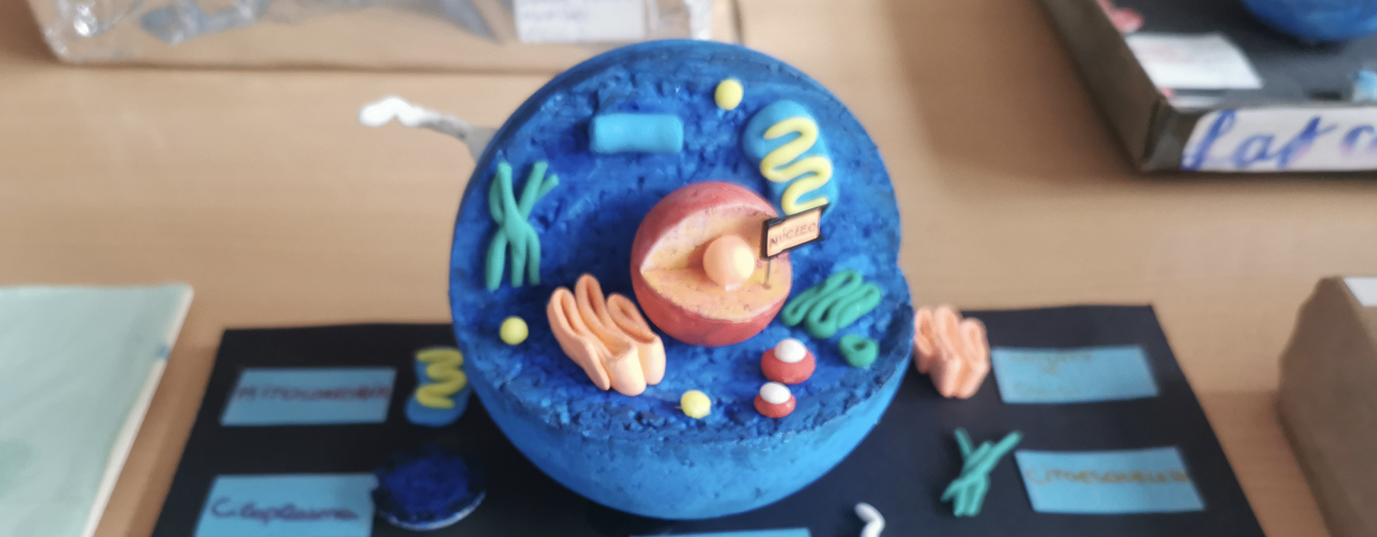 Trabajos sobre la célula